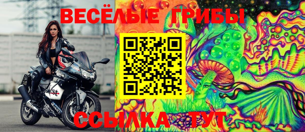 Псилоцибиновые грибы мицелий Киселёвск