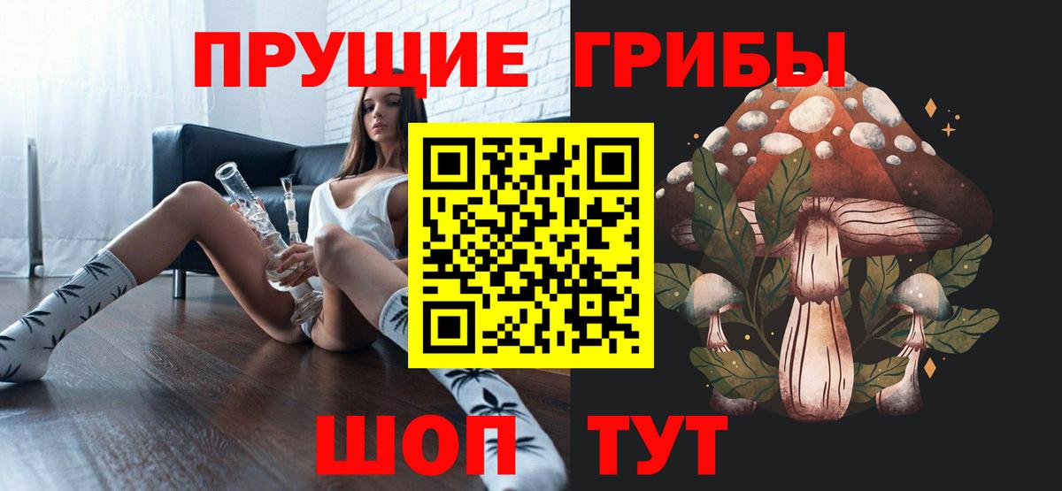 Киселёвск  Галлюциногенные грибы Psilocybine cubensis  Галлюциногенные грибы Psilocybine cubensis  Вход с VPN 