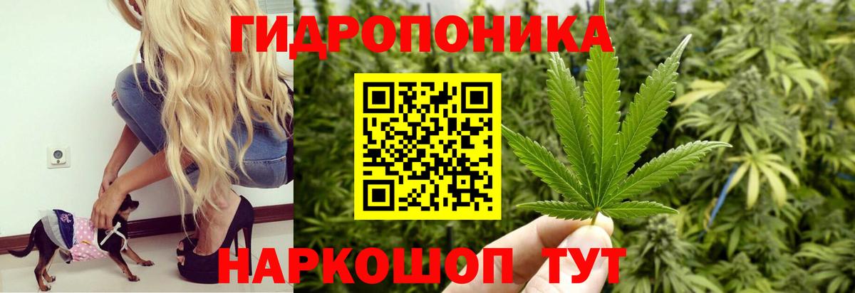 Киселёвск  Канабис тримм  Бошки марихуана THC 21%  Канабис тримм  Вход с VPN 